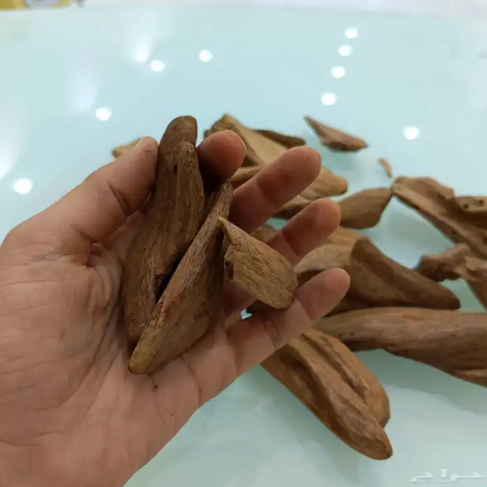 عود مروكي طبيعي 5