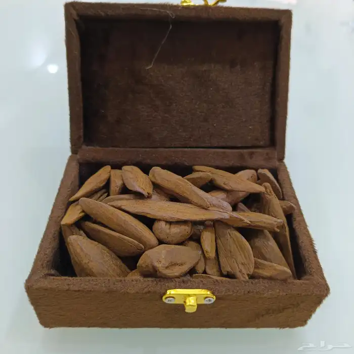 عود مروكي محسن فاخر 0