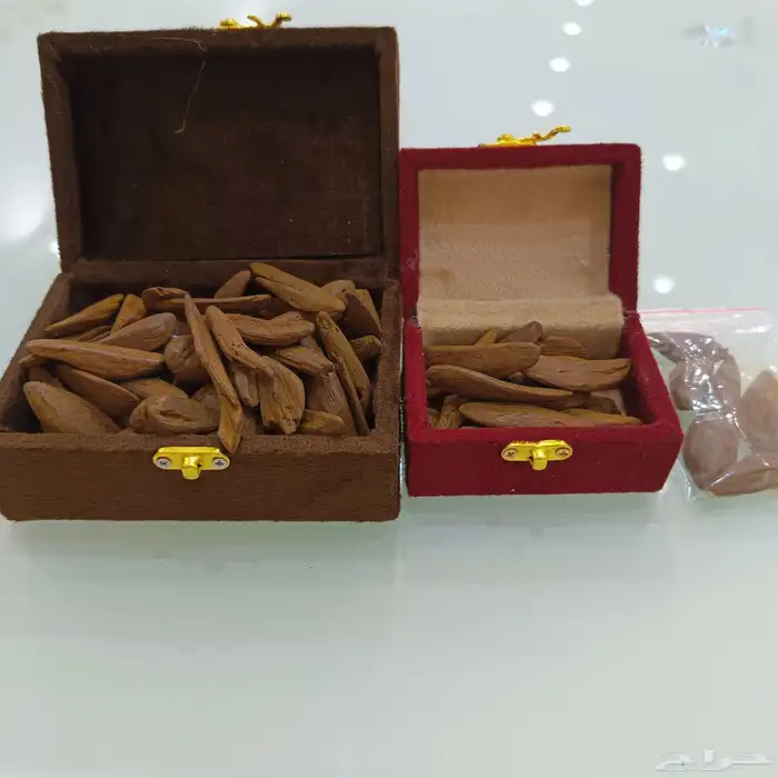 عود مروكي محسن فاخر 2