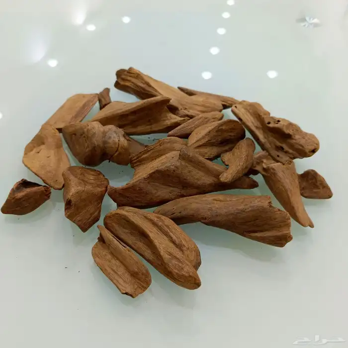 عود مروكي طبيعي 0