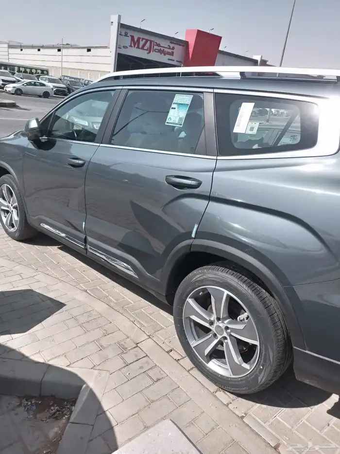 جيلي اوكافانجو 2025 3