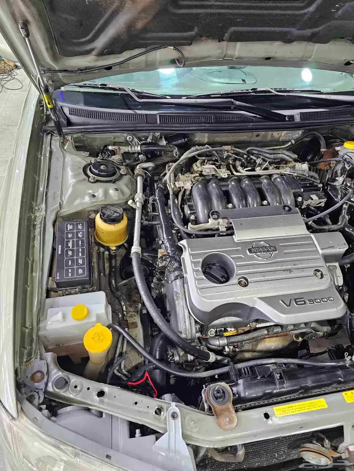 مكسيما موديل 2000 11