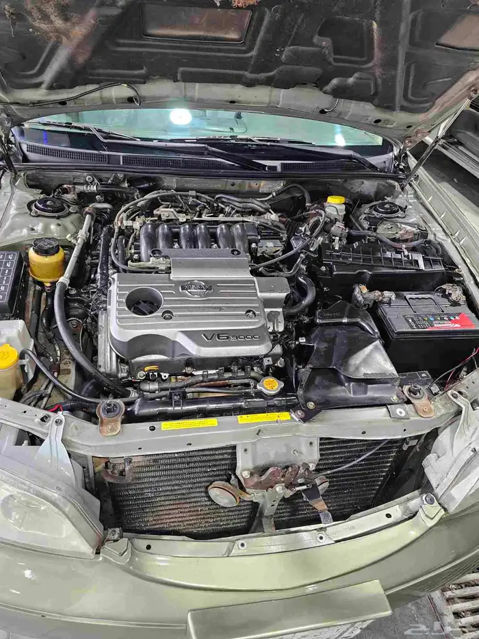 مكسيما موديل 2000 10