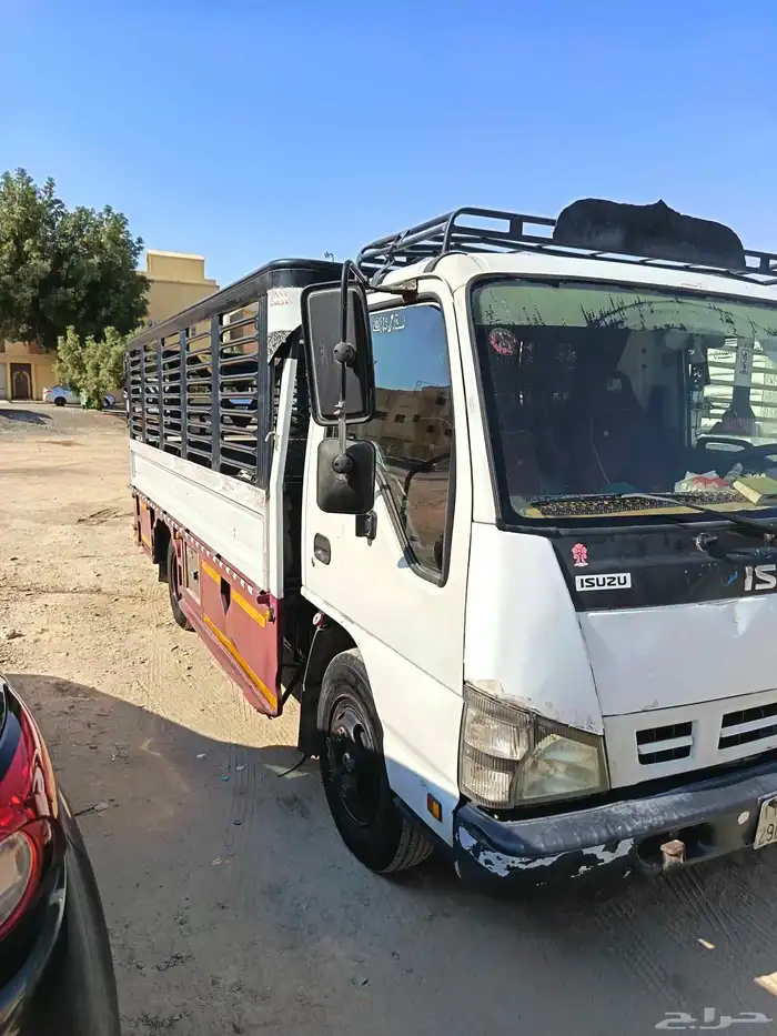 دينا اسوزو 0