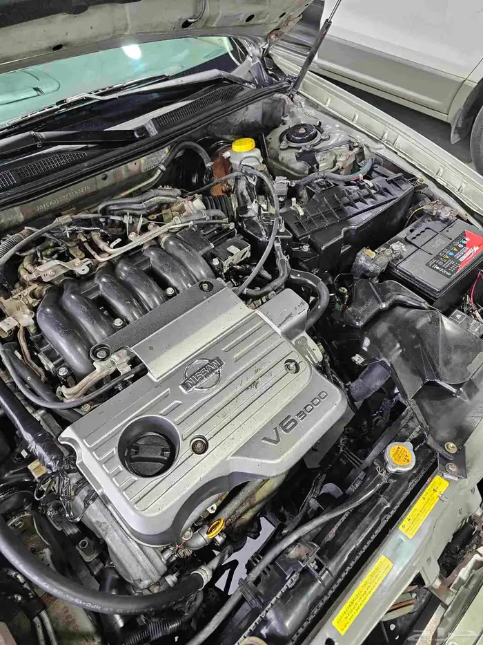 مكسيما موديل 2000 12