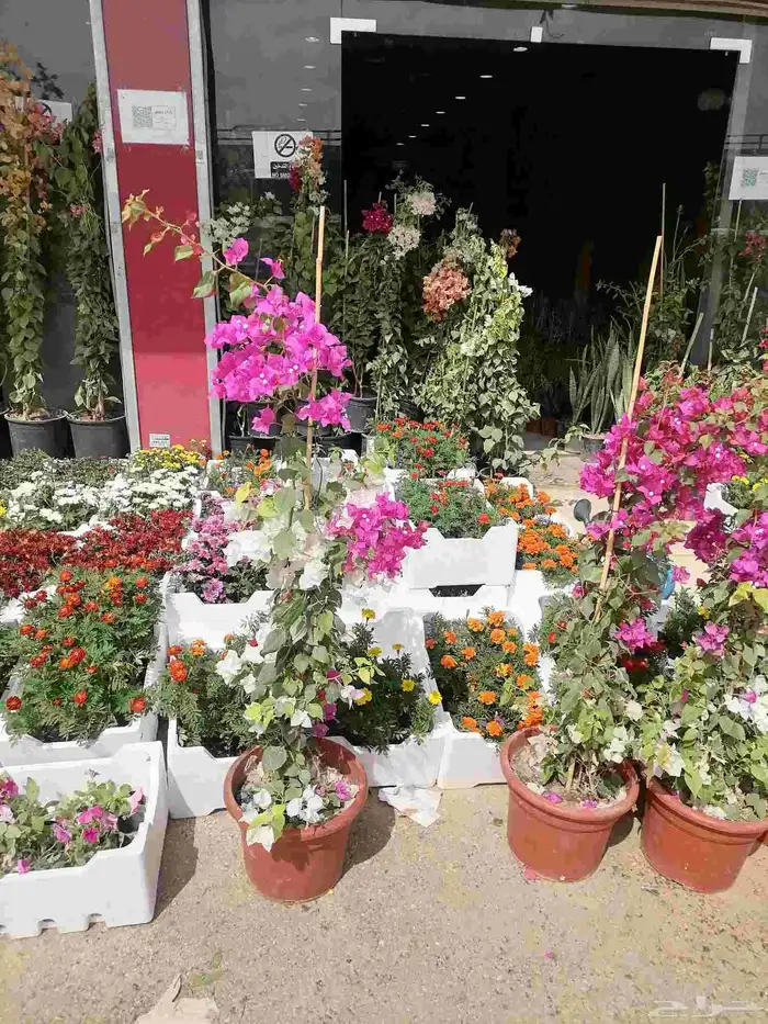 زرع طبيعي وثيل طبيعي وتيل طبيعي وشبكات الري ومشتل زراعية 3