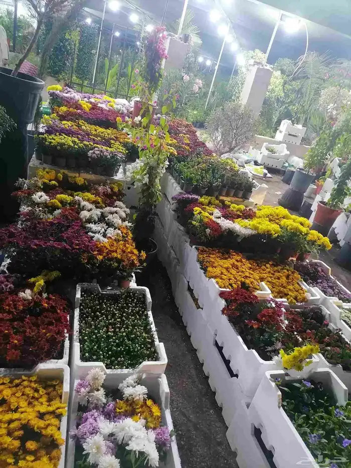 زرع طبيعي وثيل طبيعي وتيل طبيعي وشبكات الري ومشتل زراعية 1