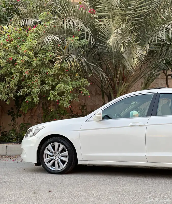 هوندا أكورد 2012 مخزن ممشى قليل مستخدم أول وكالة 16