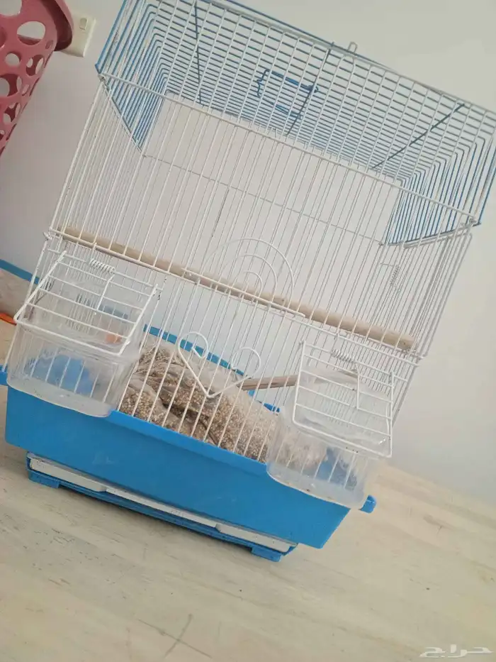 السلام عليكم قفص عصفور الجاد بس يراسلني على الواتساب 0