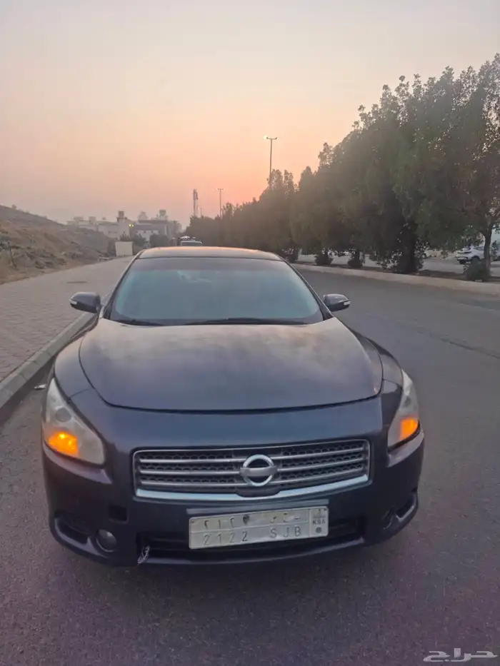 نيسان مكسيما 2010 نظيفة وبودي بلد الموديل 2010 1