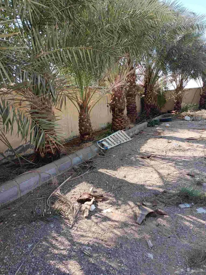 مكه المكرمه 6