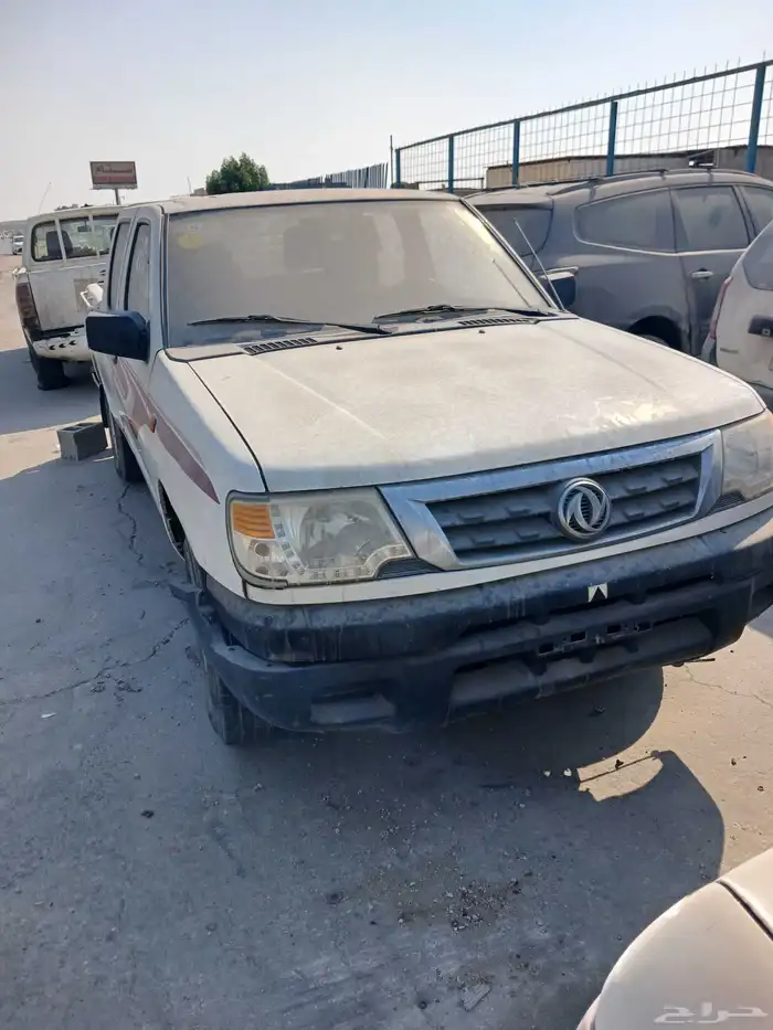 جنجو صيني 2016 0