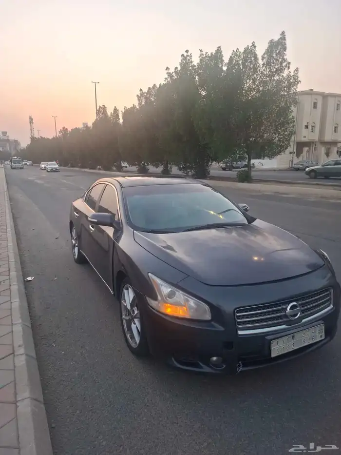 نيسان مكسيما 2010 نظيفة وبودي بلد الموديل 2010 0