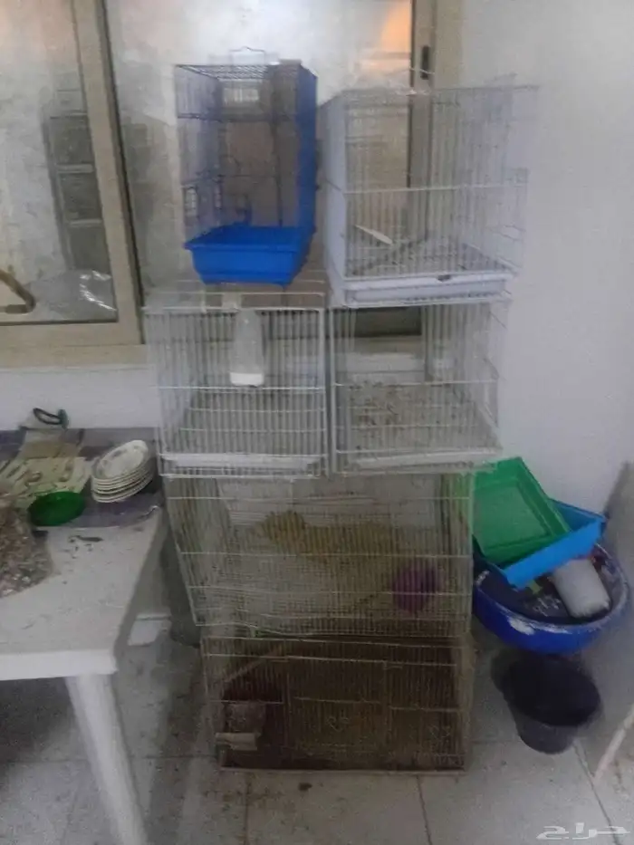 للبيع اقفاص 0