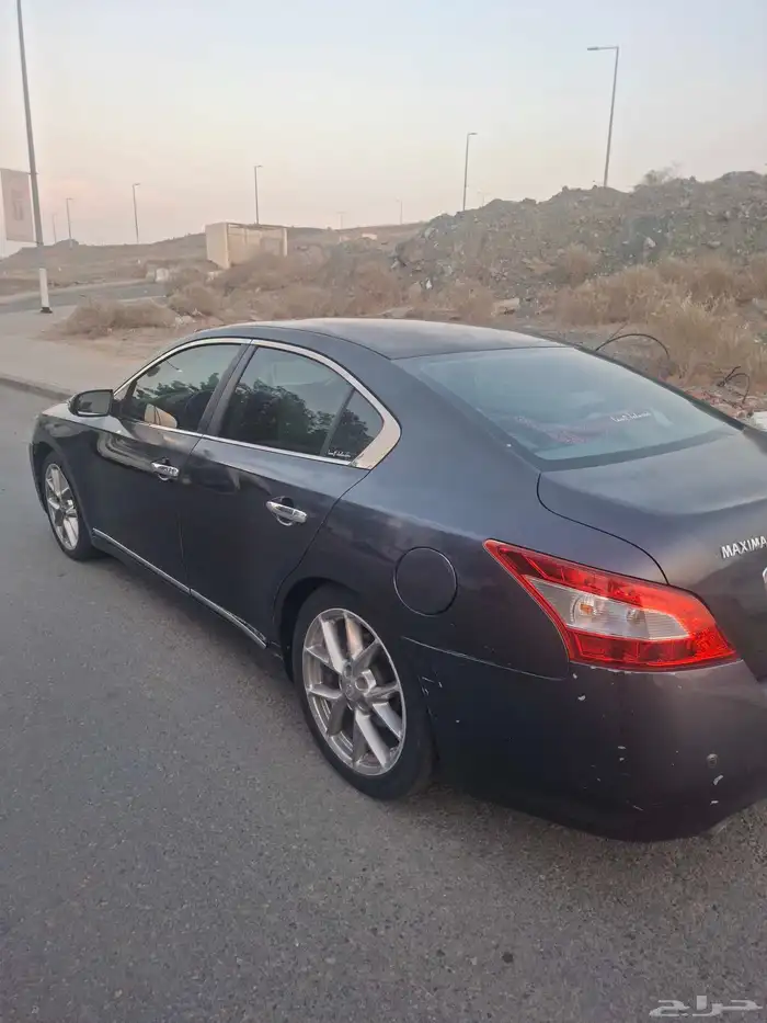 نيسان مكسيما 2010 نظيفة وبودي بلد الموديل 2010 9