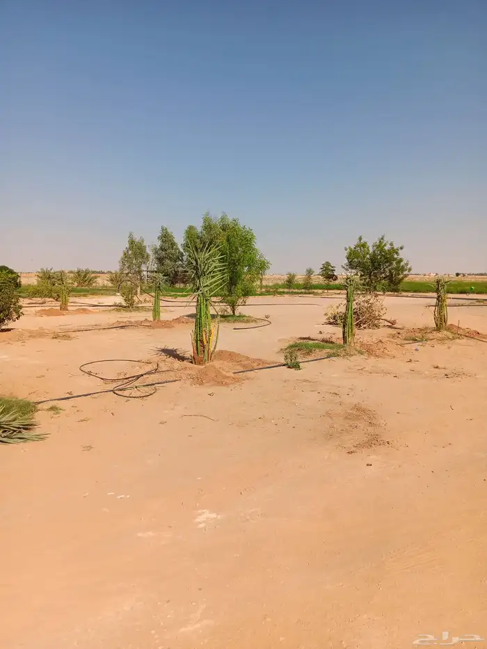 مكه المكرمه 8