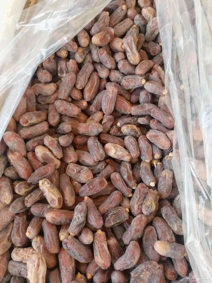 يتوفر لدينا مشكلات فله من كل نوع الكميه 1300 2