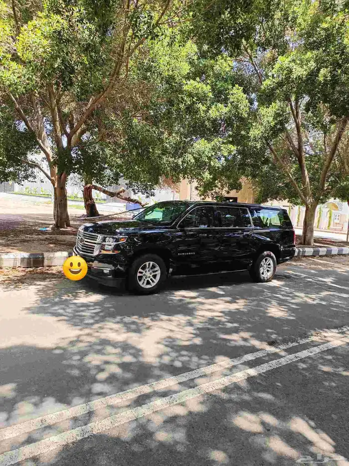 تاهو طويل 2016 8