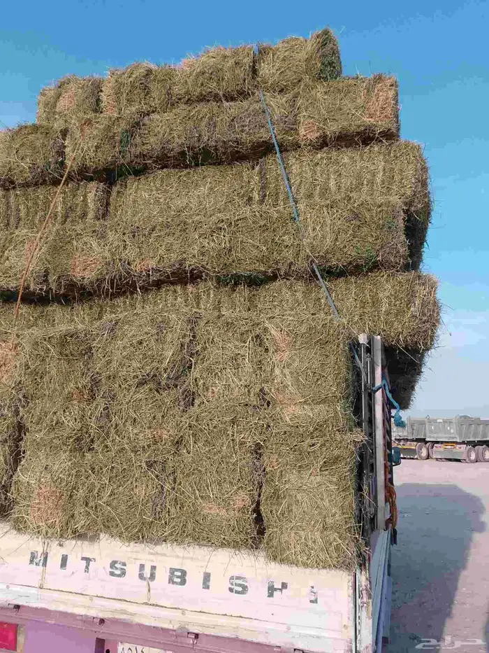 برسيم مستودع طيب للبيع مع خدمات توصيل 2