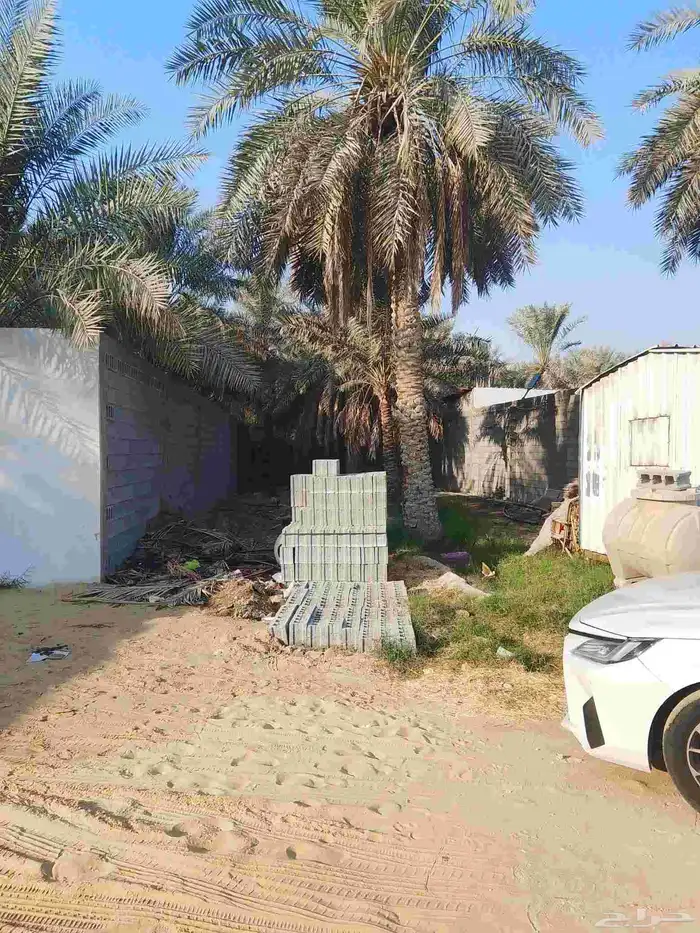 موقع مزرعة عين وكهرب مشترك المده 15سنه مسوره جهتين 0