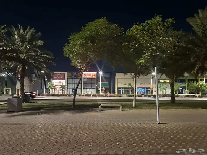 قط حالته سيئه عنده كسر ف الذيل و خدش ف عيونو الاثنين 0