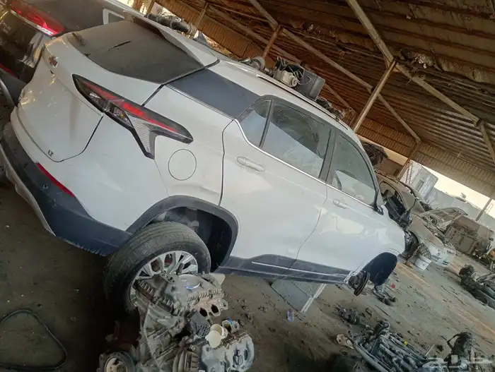 جروف 2023 تشليح فقط 0