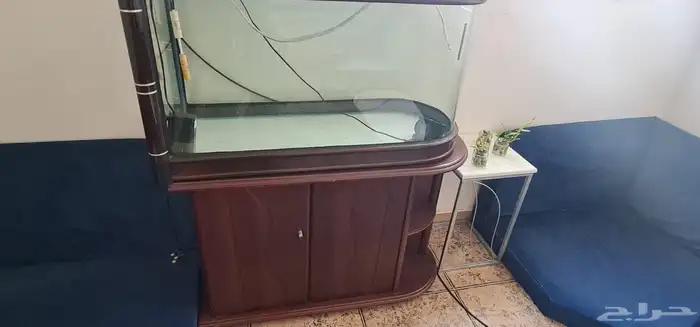 للبيع حوضين سمك مع كامل ملحاقتهم 4