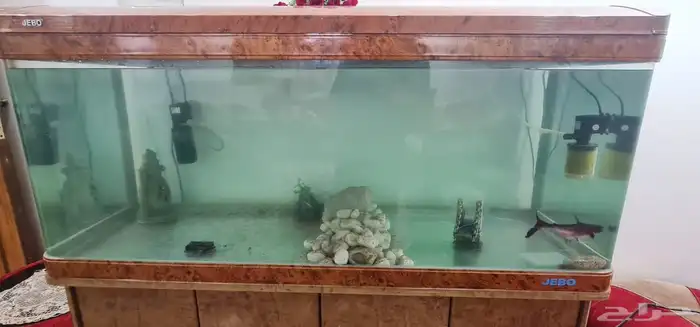 للبيع حوضين سمك مع كامل ملحاقتهم 6