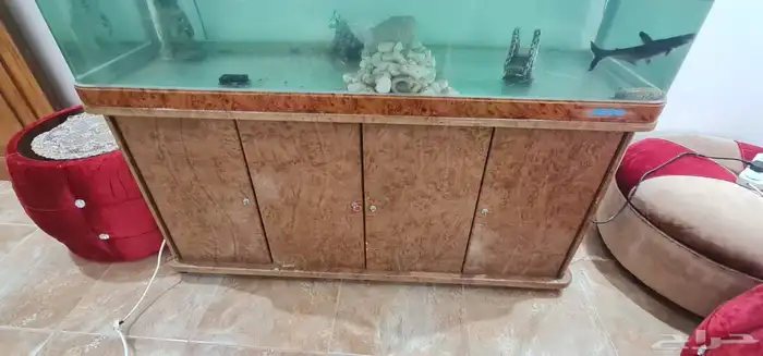 للبيع حوضين سمك مع كامل ملحاقتهم 1