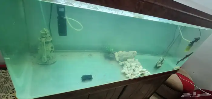 للبيع حوضين سمك مع كامل ملحاقتهم 3