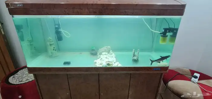 للبيع حوضين سمك مع كامل ملحاقتهم 2