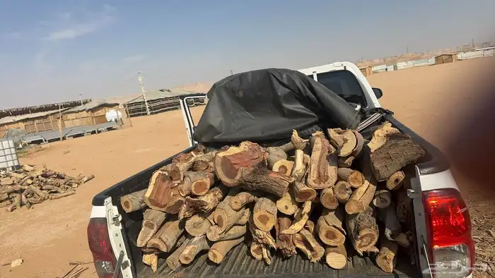 حطب كفو مستورد الموقع السليل 0