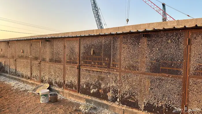 مشروع حمام من 800 جوز الا 1000 4