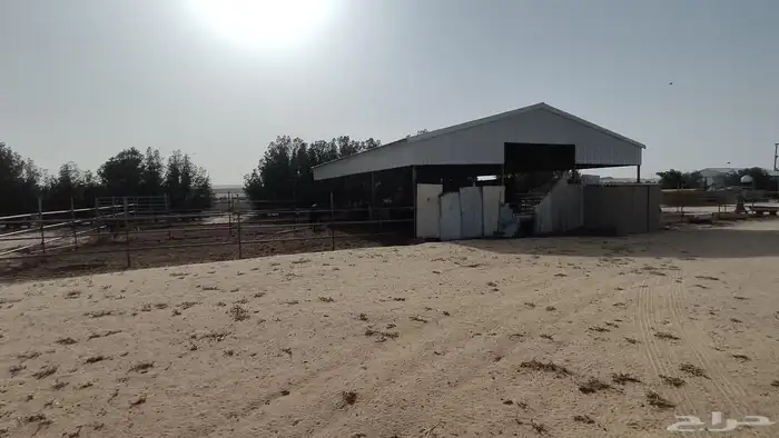 مزرعه بمليجه جنوب النعيرية 20 ك صك الكتروني 6