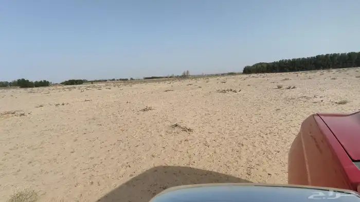 مزرعه بمليجه جنوب النعيرية 20 ك صك الكتروني 7