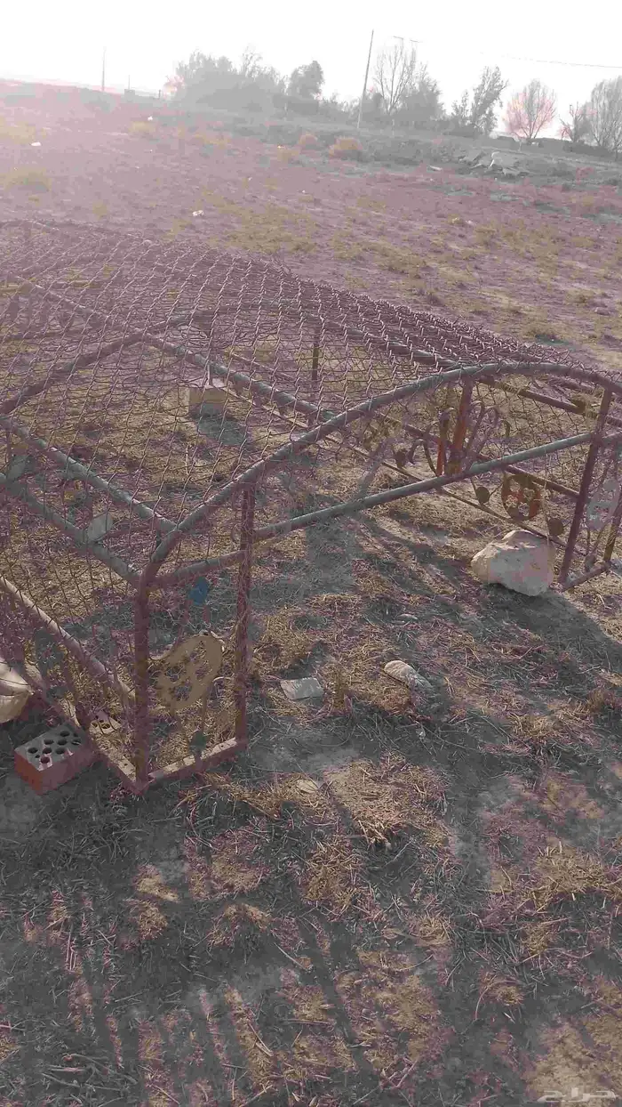 معدات زراعيه 4