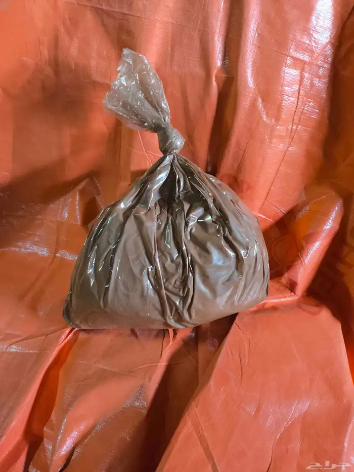 حناء المدينة 3