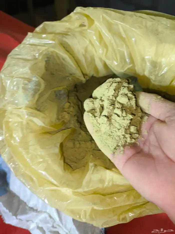 حناء المدينة 4