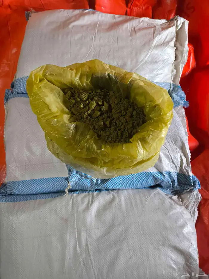 حناء المدينة 1