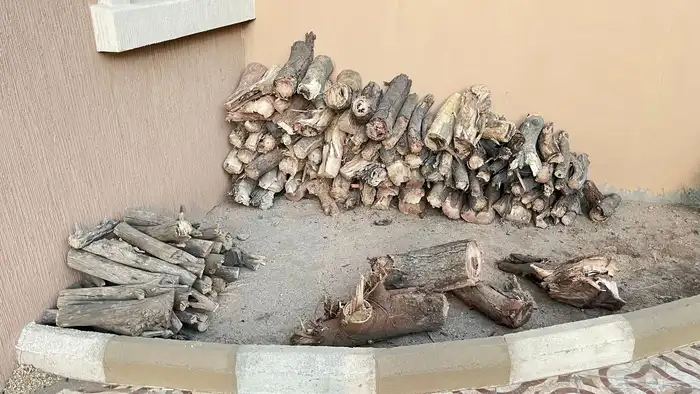 حطب متسورد طلح ويوجد كميه ليس مستورده 1