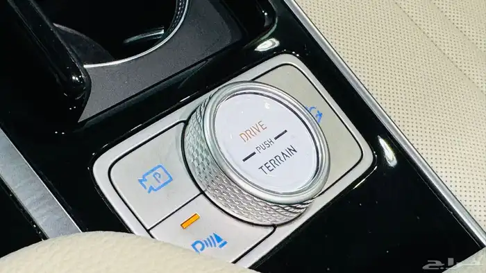 جينسيس GV80 18