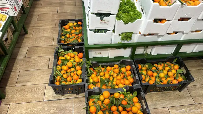 يوسفي حايل 3