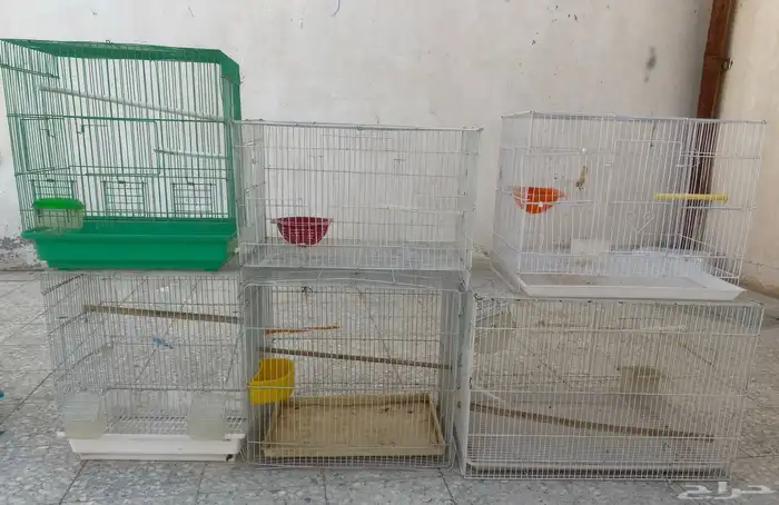 اقفاص طيور 3