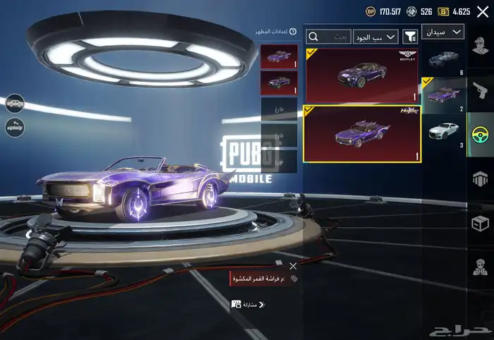 حساب ببجي للبيع 29