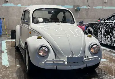 فلكس واجن بيتل index