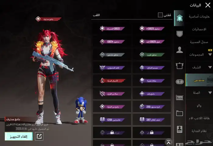 حساب ببجي للبيع 2