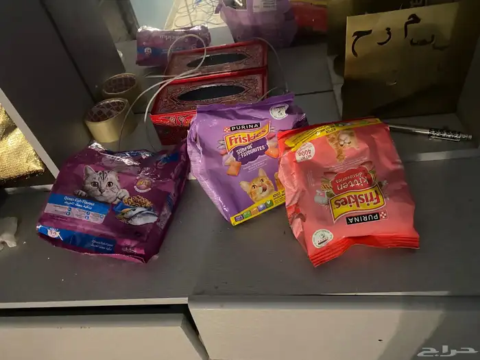 قطه شيرازي 8