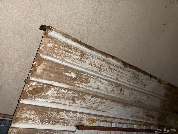 شينكو للبيع 1