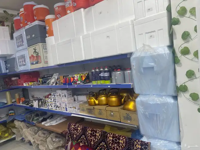 تموينات فتحتين للتقبيل سبب التقبيل عدم توفر راس المال 9