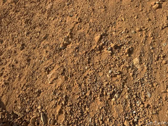 دفان مجاني وتحميل مجاني حى النهضة الرياض قريب من طريق خريص 1